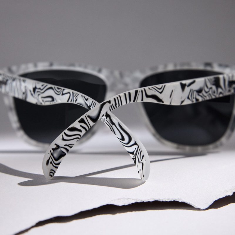 Zebra Jasper's Life Coach